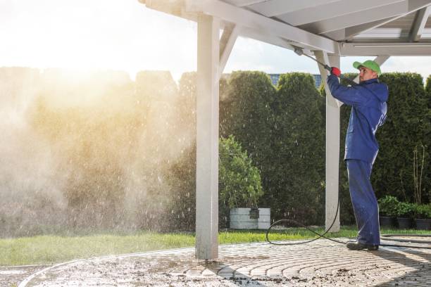 Best Paint Preparation  in Bridgeport, AL