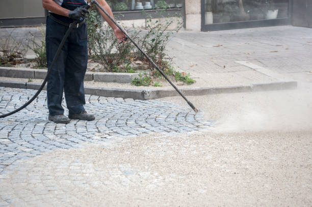 Best Roof Washing  in Bridgeport, AL
